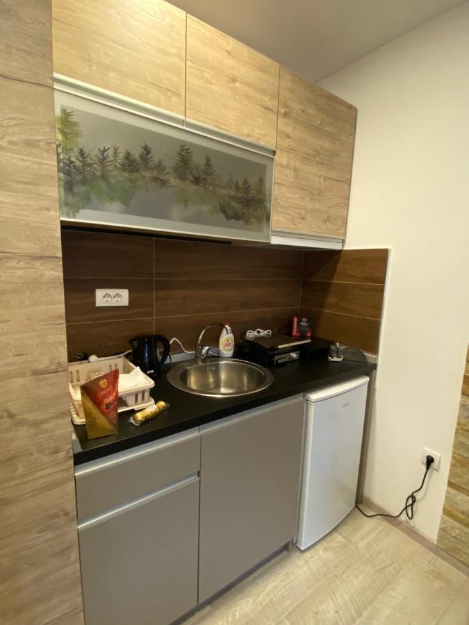 Kopaonik Apartmani Milmari - Katic Exterior foto